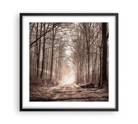 Affiche Poster 50x50cm Tableaux Image Photo forêt route arbre Wall Art