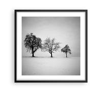 Affiche Poster 50x50cm Tableaux Image Photo Hiver Arbres Neige Wall Art