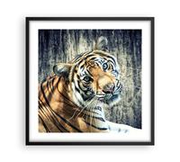 Affiche Poster 50x50cm Tableaux Image Photo Inde pierre tigre sauvage Wall Art