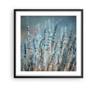 Affiche Poster 50x50cm Tableaux Image Photo Lavande Lame Fleur Wall Art