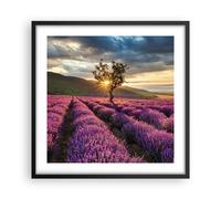 Affiche Poster 50x50cm Tableaux Image Photo lavande montagnes champ Wall Art