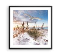 Affiche Poster 50x50cm Tableaux Image Photo Mouette Mer Côte Wall Art