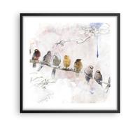 Affiche Poster 50x50cm Tableaux Image Photo Oiseaux Canaries Branche Wall Art