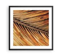Affiche Poster 50x50cm Tableaux Image Photo Orange Feuille Tropical Wall Art