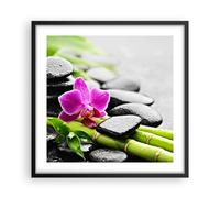 Affiche Poster 50x50cm Tableaux Image Photo Plante pierres bambous spa Wall Art