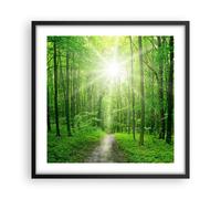 Affiche Poster 50x50cm Tableaux Image Photo Rayons du soleil forêt été Wall Art