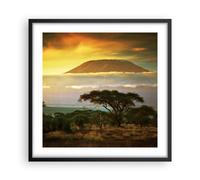 Affiche Poster 50x50cm Tableaux Image Photo Safari la faune montagne kenya Art