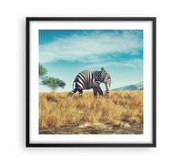 Affiche Poster 50x50cm Tableaux Image Photo Surréaliste Éléphant Côtes Wall Art