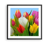 Affiche Poster 50x50cm Tableaux Image Photo Tulipes Bouquet fleurs rosée Art