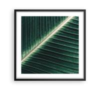 Affiche Poster 50x50cm Tableaux Image Photo Vert Feuille Tropical Wall Art