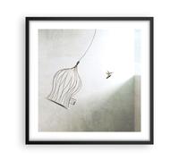 Affiche Poster 50x50cm Tableaux Image Photo Vol Oiseau Cage Wall Art Decoration