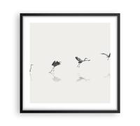 Affiche Poster 50x50cm Tableaux Image Photo Vol Oiseau Héron Wall Art