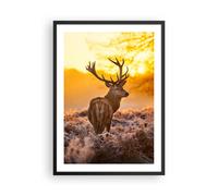 Affiche Poster 50x70cm Tableaux Image Automne paysage nature feuille Wall Art