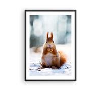 Affiche Poster 50x70cm Tableaux Image Écureuil hiver neige nourriture Wall Art