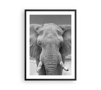 Affiche Poster 50x70cm Tableaux Image Éléphant Afrique Des Animaux Wall Art
