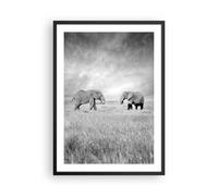 Affiche Poster 50x70cm Tableaux Image Éléphants Noir Et Blanc Safari Wall Art