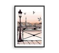 Affiche Poster 50x70cm Tableaux Image France pigeon graphiques illustration Art