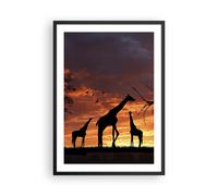 Affiche Poster 50x70cm Tableaux Image Girafe Afrique Soleil Safari Wall Art