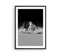 Affiche Poster 50x70cm Tableaux Image Photo Andalouse Chevaux Galop Wall Art