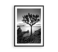 Affiche Poster 50x70cm Tableaux Image Photo Arbre Noir Et Blanc Vue Wall Art