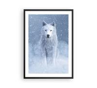 Affiche Poster 50x70cm Tableaux Image Photo Blanc Loup Neige Wall Art Decoration