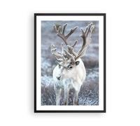 Affiche Poster 50x70cm Tableaux Image Photo Blanc Renne Scandinave Wall Art