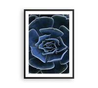 Affiche Poster 50x70cm Tableaux Image Photo Bleu Cactus Fleur Wall Art