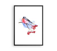 Affiche Poster 50x70cm Tableaux Image Photo Bouvreuil On Branche Wall Art