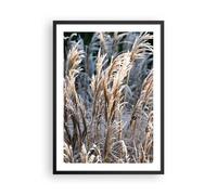 Affiche Poster 50x70cm Tableaux Image Photo Canne Épis De Maïs Boho Wall Art
