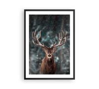 ARTTOR Poster Cadre Noir 50x70 cm Affiche Animaux- 4998 - P2B