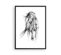 Affiche Poster 50x70cm Tableaux Image Photo Cheval Galop Des Animaux Wall Art