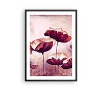 Affiche Poster 50x70cm Tableaux Image Photo coquelicot fleur prairie Wall Art
