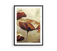 Affiche Poster 50x70cm Tableaux Image Photo coquelicot fleur prairie Wall Art