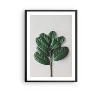 Affiche Poster 50x70cm Tableaux Image Photo Feuilles Plantes Botanique Wall Art