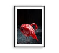 Affiche Poster 50x70cm Tableaux Image Photo Flamant Rose Rose Oiseau Wall Art