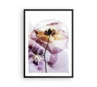 Affiche Poster 50x70cm Tableaux Image Photo fleur été nature Wall Art Decoration