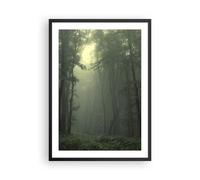 Affiche Poster 50x70cm Tableaux Image Photo forêt brouillard arbre Wall Art
