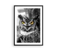 Affiche Poster 50x70cm Tableaux Image Photo Hibou oiseau nature Wall Art