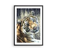Affiche Poster 50x70cm Tableaux Image Photo Inde pierre tigre sauvage Wall Art