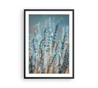 Affiche Poster 50x70cm Tableaux Image Photo Lavande Lame Fleur Wall Art