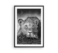 Affiche Poster 50x70cm Tableaux Image Photo Lion Asie Portrait Wall Art