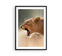 Affiche Poster 50x70cm Tableaux Image Photo Lion Lionne Crocs Wall Art