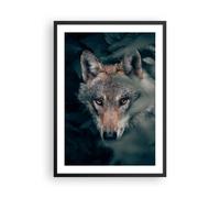 Affiche Poster 50x70cm Tableaux Image Photo Loup Forêt Prédateur Wall Art