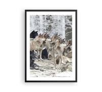 Affiche Poster 50x70cm Tableaux Image Photo Meute Loups Hiver Wall Art