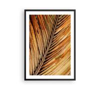 Affiche Poster 50x70cm Tableaux Image Photo Orange Feuille Tropical Wall Art