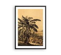 Affiche Poster 50x70cm Tableaux Image Photo Palmiers Forest Des Pluies Wall Art