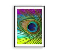 Affiche Poster 50x70cm Tableaux Image Photo Paons Plume Arc En Ciel Wall Art