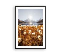 Affiche Poster 50x70cm Tableaux Image Photo Pissenlits Soleil Champ Wall Art