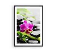 Affiche Poster 50x70cm Tableaux Image Photo Plante pierres bambous spa Wall Art