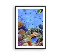 Affiche Poster 50x70cm Tableaux Image Photo Récif de corail Wall Art Decoration